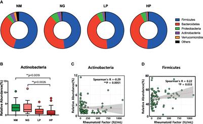 Therapeutic Potential of a Novel Bifidobacterium Identified Through Microbiome Profiling of RA Patients With Different RF Levels